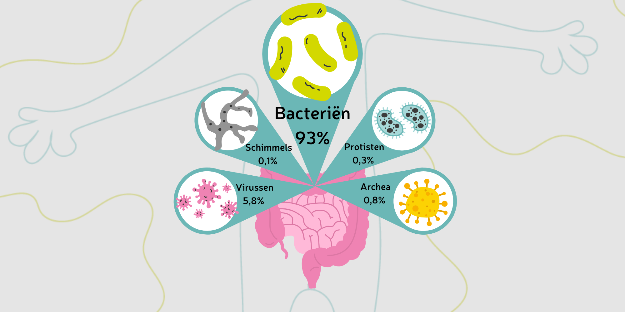 Wat voor microben zitten in een microbioom?