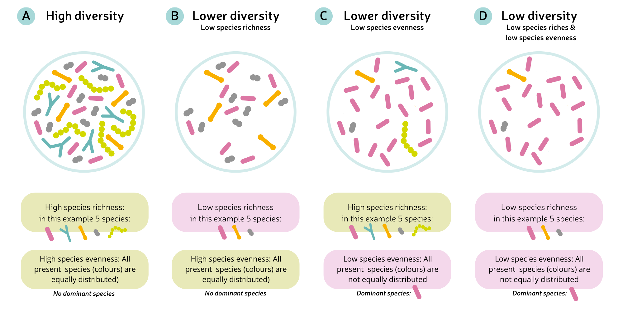 Differences in microbiome diversity