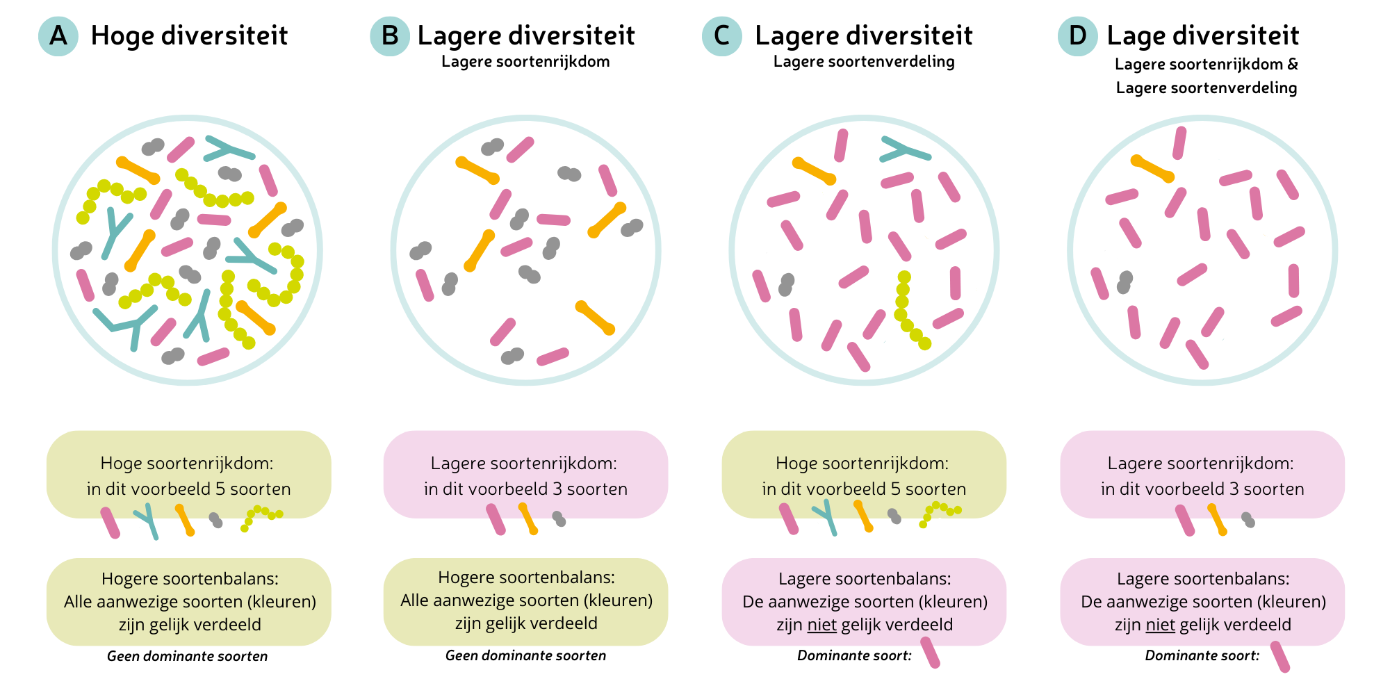 Verschillen in diversiteit van het microbioom