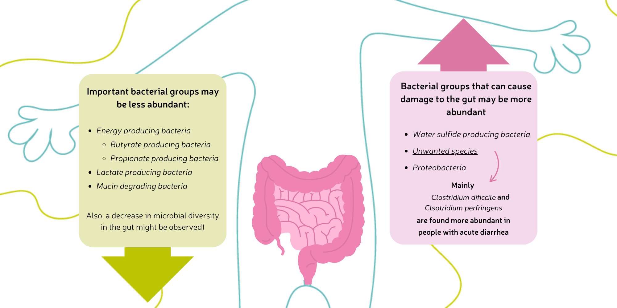 Acute diarrhea and the microbiome