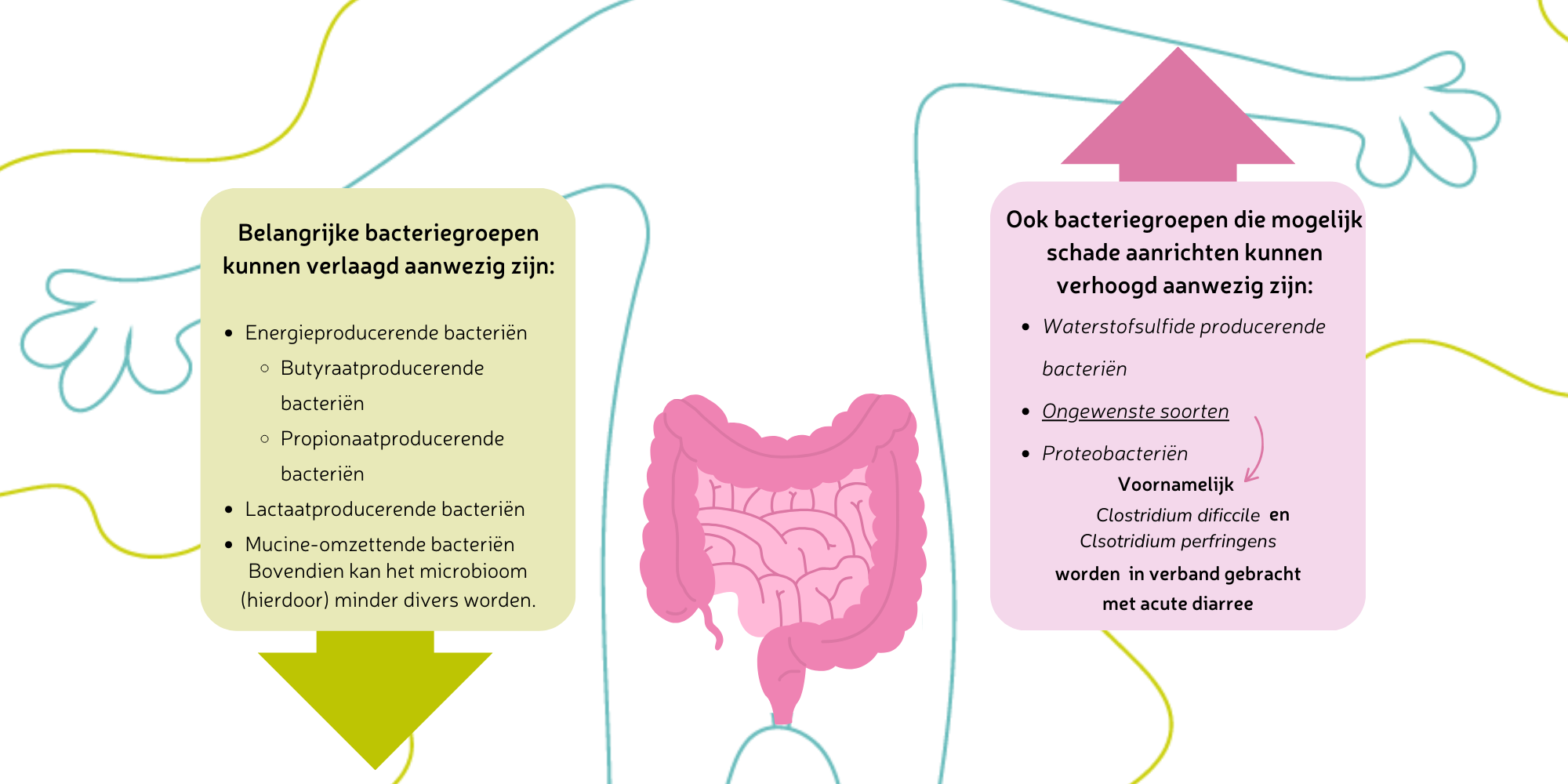 Microbiome and acute diarrhea