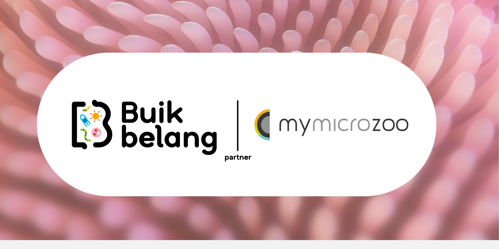 Buikbelang-MyMicroZoo